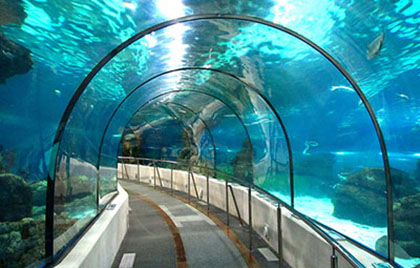 Explore the Phuket Aquarium in Cape Panwa.